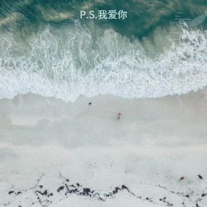 P.S.我爱你