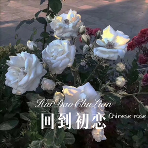 回到初恋 (Remix)