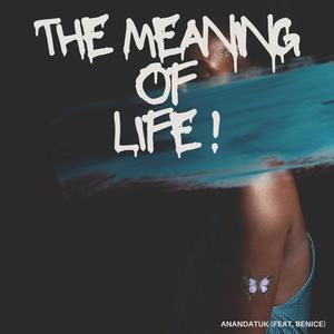 The Meaning Of Life (feat. Benice)