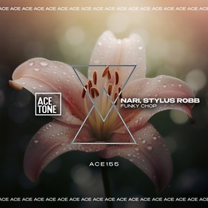 Funky Chop (Original Mix)