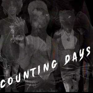 Counting Days (feat. lidracoo, Bbygfn & Li Dumb) (Explicit)