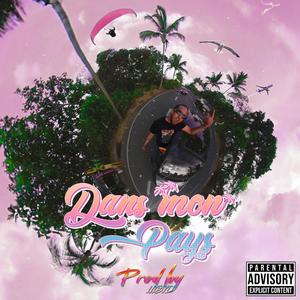 Dans mon pays (Explicit)