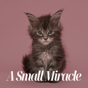 A Small Miracle