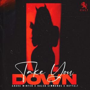 Take You Down (feat. RoyyalT) (Explicit)