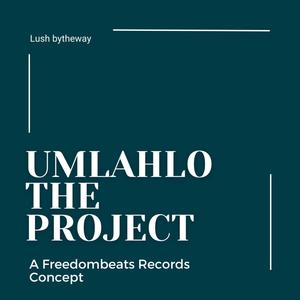 Umlahlo The Project (UTP) Mixtape [Explicit]