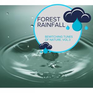 Forest Rainfall - Bewitching Tunes of Nature, Vol.3