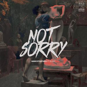 Not Sorry (feat. Swapski) [Explicit]