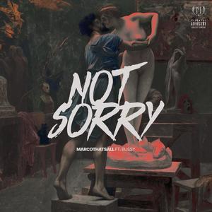 Not Sorry(feat. Swapski) (Explicit)