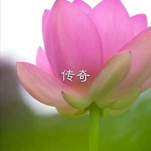 多情伤离别 (DJ版)