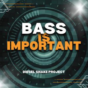 Bass is Important (Original Cut)