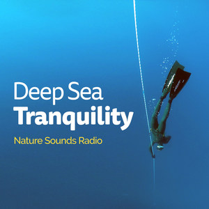 Deep Sea Tranquility