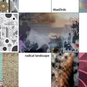 Radical Landscape