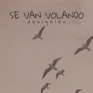 Se Van Volando