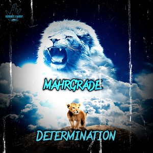 Determination