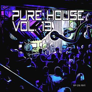 Pure House, Vol. 13