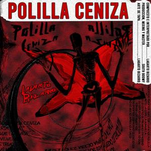 POLILLA CENIZA (feat. South Boomy) [Explicit]