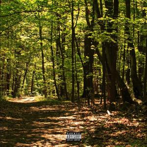 Contradicting Pain (feat. Sane) (Explicit)