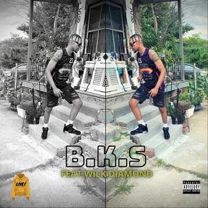 B.K.S (feat. Wilk Diamond) [Explicit]