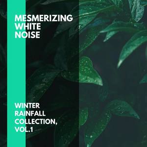 Mesmerizing White Noise - Winter Rainfall Collection, Vol.1