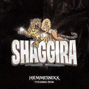 Shaggira 2024 (shaggesnekk) (feat. Shaggers) [Explicit]
