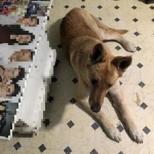 can't speak (feat. shrugs) (Explicit)