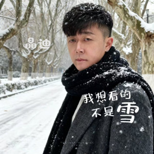 晶迪 - 我想看的不是雪 (DJ大圣版伴奏)