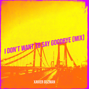 I Don't Want to Say Goodbye (Mix)