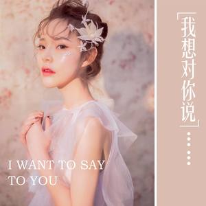 我想对你说 (伴奏)
