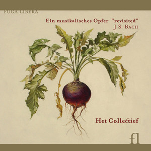 Musikalisches Opfer, BWV 1079 - XII. Canon perpetuus super thema regium