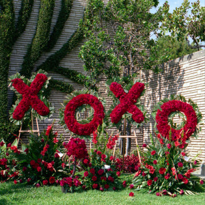 Don't Let Our Love Go Cold