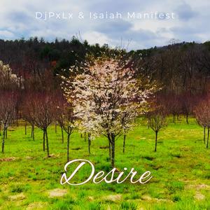 Desire (feat. DJPxLx)