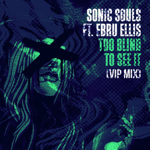 Too Blind To See It (feat. Ebru Ellis) (VIP Mix)