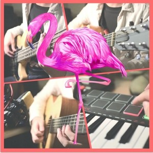 Flamingo