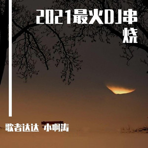 2021最火DJ串烧