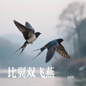 比翼双飞燕 (女声版)