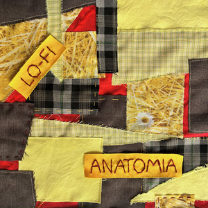 Lo-Fi Anatomia (Explicit)