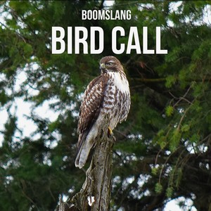 Bird Call