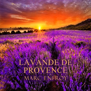 Lavande de Provence