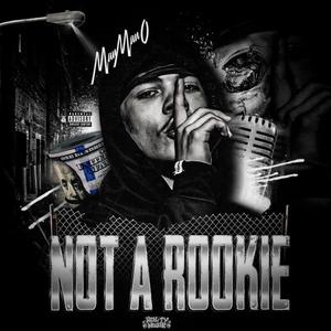 Not A Rookie (Explicit)