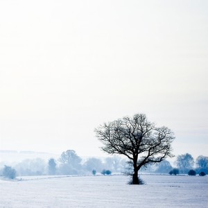 全世界宣布爱你 (新版)