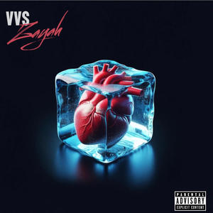 VVS (feat. JJGM) [Explicit]