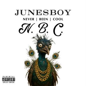 Never Been Cool (Explicit)