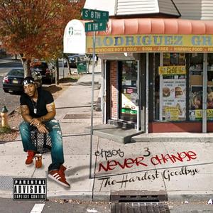 Never Change 3: The Hardest Goodbye (Explicit)