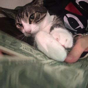 bmhi2 (feat. Andrew Narvaez) (Explicit)