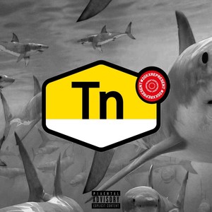 TN (Explicit)