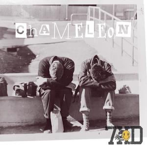 Chameleon (feat. New Ends)