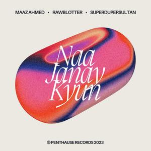 Naa Janay Kyun (feat. Rawblotter & superdupersultan)