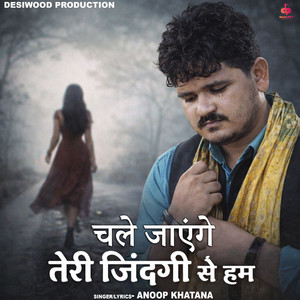 Chle jayenge teri jindgi se hum