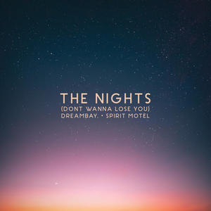 The Nights (Don't Wanna Lose You) (Explicit)