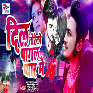 Dil Toreli Pagal Payar Me